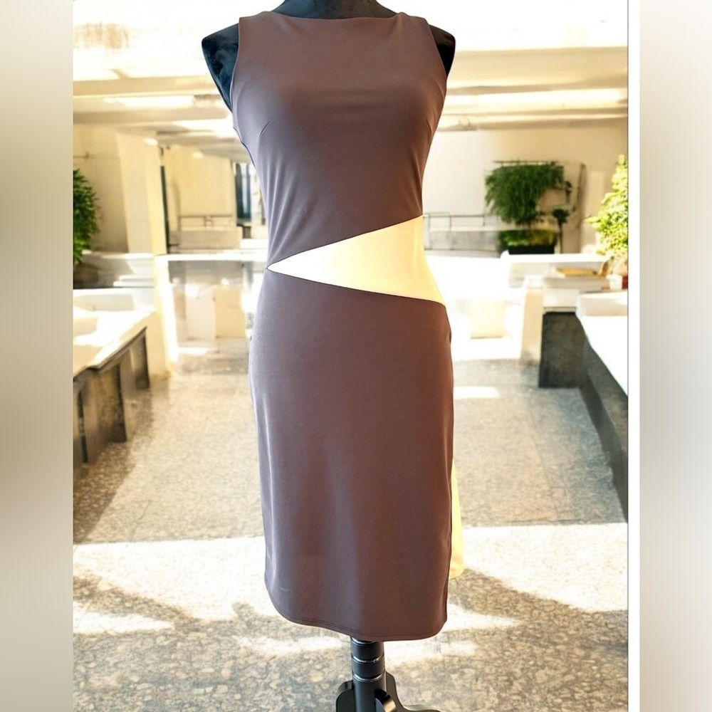 Express dress
Size 2